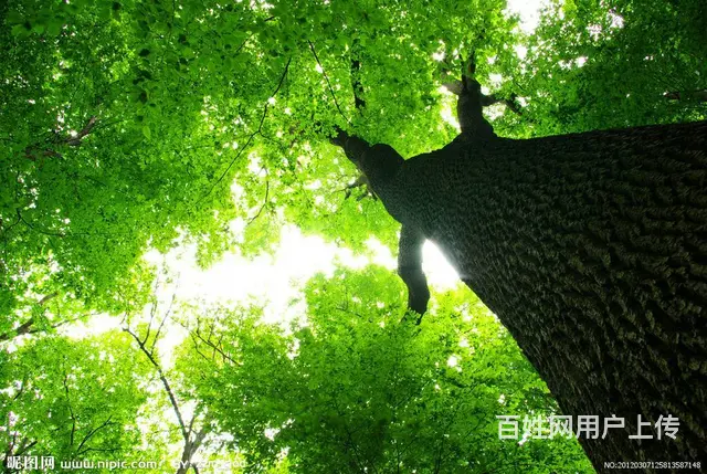转让新乡机电安装一资质，河南新乡机电安装二资质转让 - 图片 3