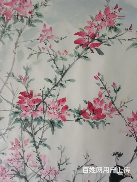 六尺纸花鸟画手绘，孔雀 - 图片 2