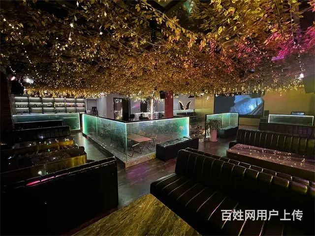 4964柘城华景美食城路口处小酒馆转让 - 图片 5