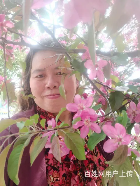 真心找对象结婚 - 图片 1
