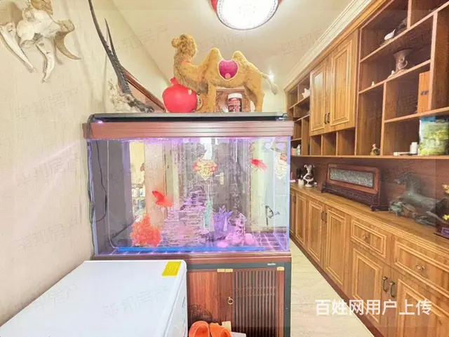 碧阳国际城4房2厅2卫豪华装修看房方便 - 图片 8
