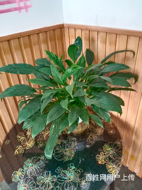 门市转让低价处理物品 - 图片 9