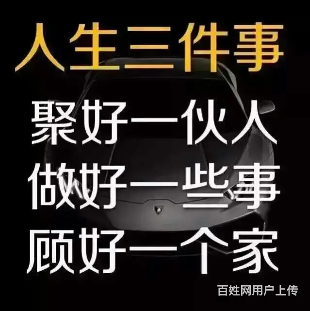 货车与皮卡（ - 图片 3