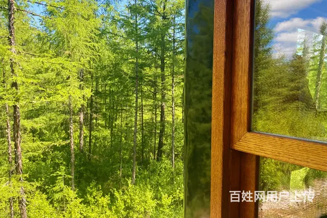 呼伦贝尔旅游找阿杰师傅靠谱 - 图片 4