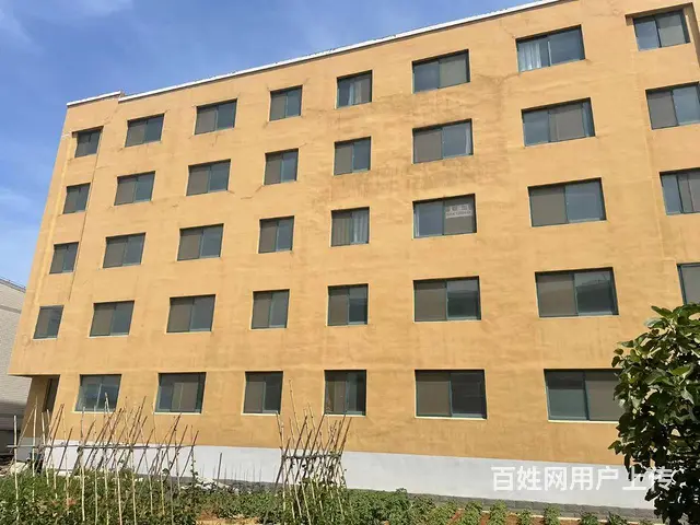 张村东夼独门独院小型加工车间和配套宿舍楼招租 - 图片 3