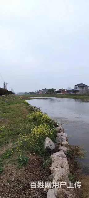 鸦雀岭厂房外加十五亩鱼塘出租 - 图片 2