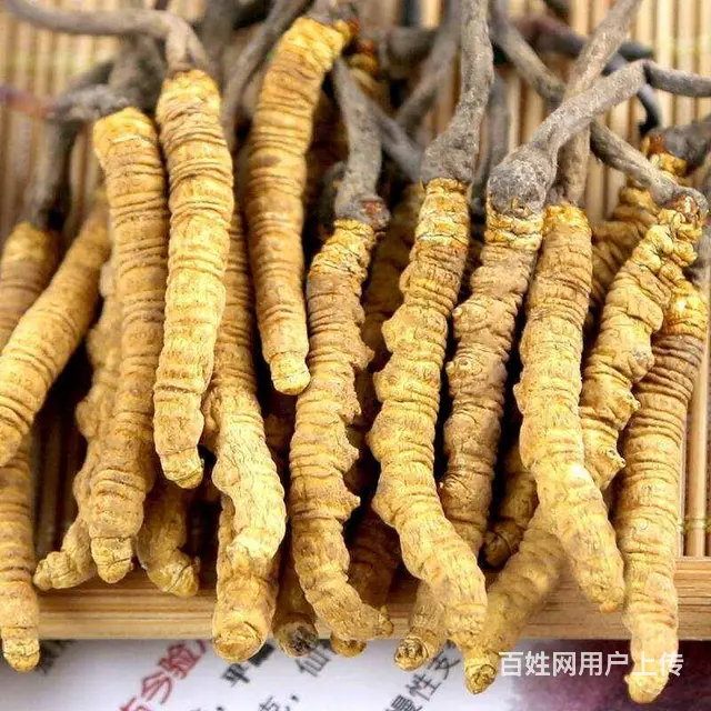 海口回收冬虫夏草价格查询值多少钱上门鉴定估价 - 图片 2