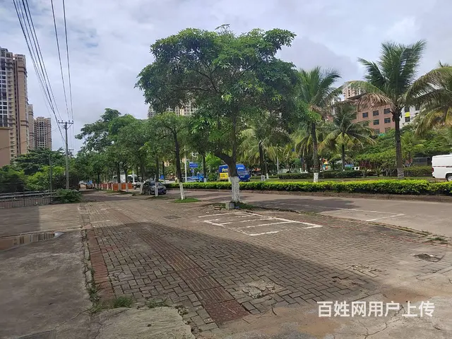（51旺铺推荐）西海岸长滨路220平餐饮店 - 图片 7