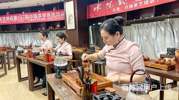 泉州茶艺培训学员问天晟茶艺学校：零基础学茶艺可以学 - 图片 11