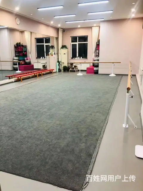 大东区联合路28中学对面舞蹈艺术学校出兑 - 图片 12