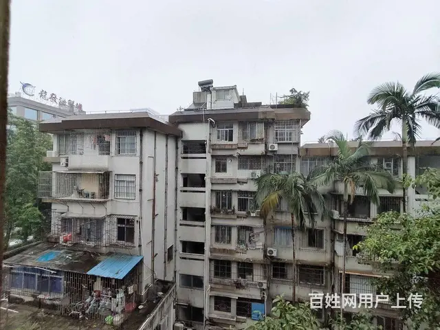 吉大 CBD 吉大新村  精装3房 好格局     便宜急租 - 图片 12