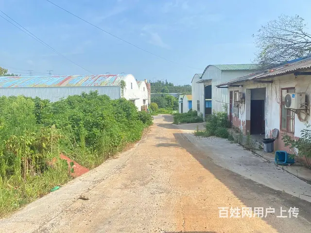 (房东直租)望城乌山750一2000平独院厂房出租，可分租 - 图片 8