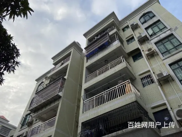 拱北 夏湾 离青茂关口近  百合花园 精装三房 - 图片 8