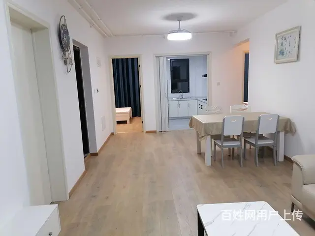 新滨湖孔雀城精装洋房出租 - 图片 2