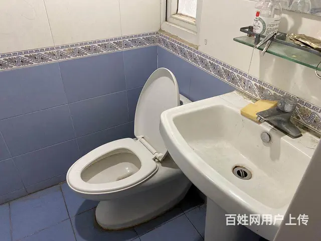 保税港区三航大厦特祥苑对面古龙公寓出租 - 图片 4