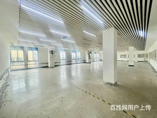 （老板本人）雨花区国际创新城临街办公楼厂房出租  6527 - 图片 12