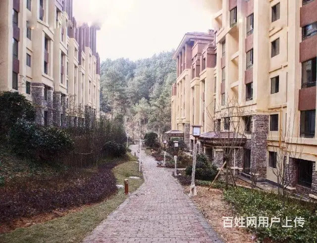 枕泉翠谷  翡翠星空 - 图片 9