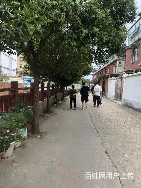 便宜的单门独院洋房别墅每平才2000多！信阳工区路豫南驾校 - 图片 5