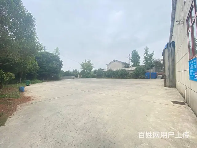 （房东直租）黄兴镇秋江线旁海吉星附近整栋仓库，厂房出租 - 图片 4