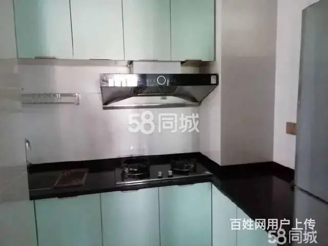 山水名城 普通住宅2厅 精装修出租 - 图片 5