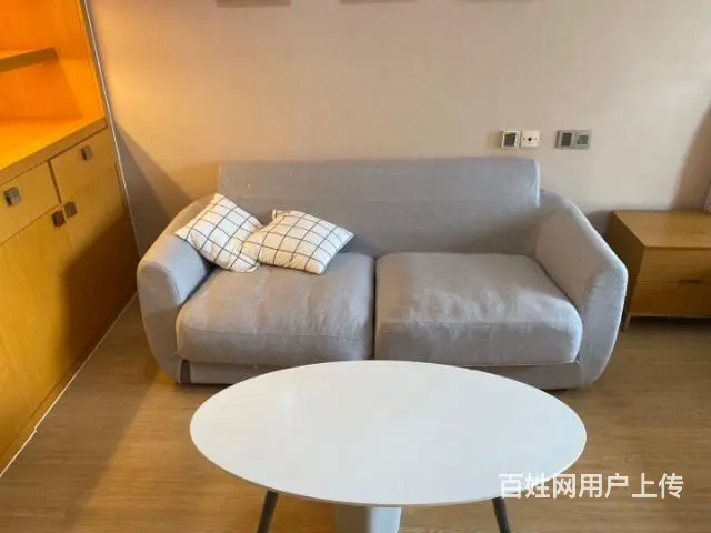新城国际公寓 北郊国际中学附近 一室一厅一卫 - 图片 4
