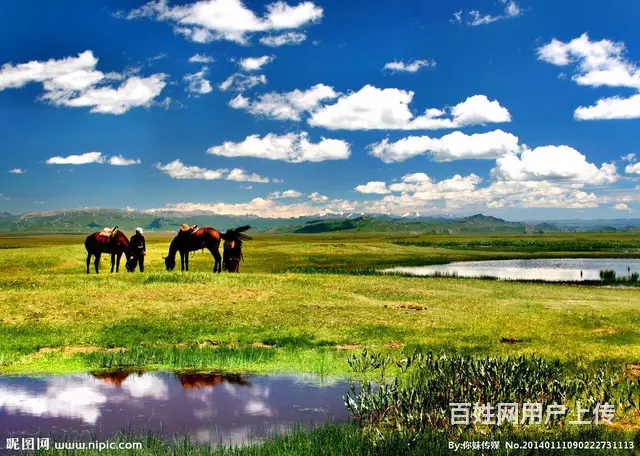 康辉旅游 游最美新疆 - 图片 7
