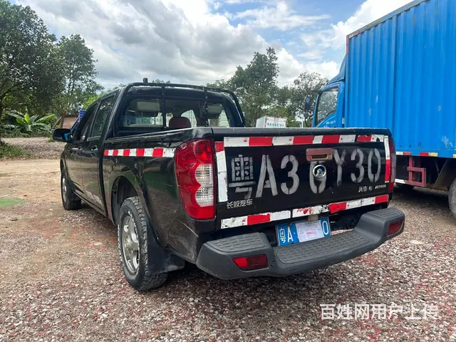 其他 皮卡 国4 - 图片 3