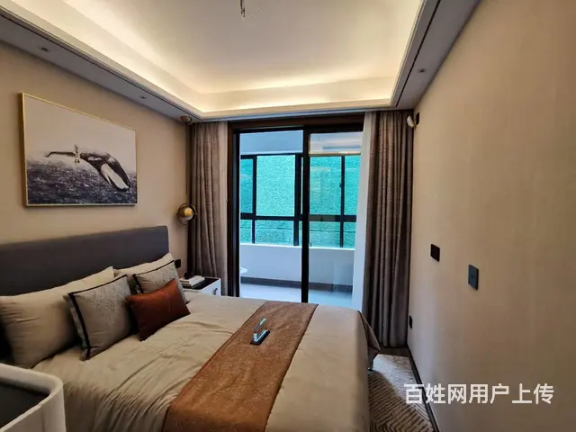 凯迪铂悦府市政府旁高端品质双吾悦广场轻轨站点首付低户型漂亮 - 图片 9