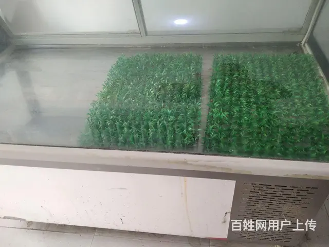 展示柜 - 图片