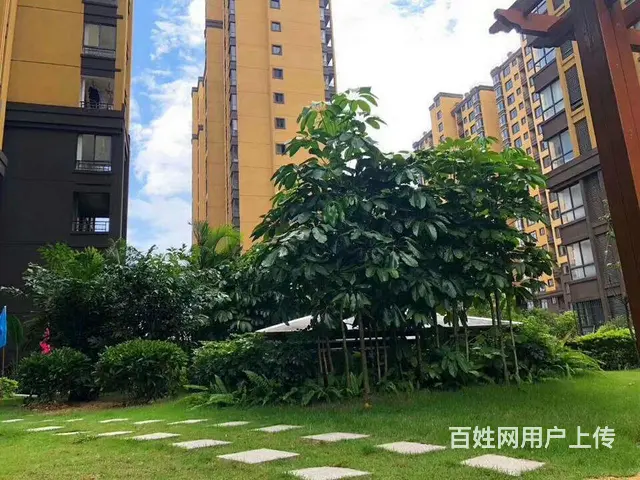 博古东海岸-首付可以分期 - 图片 2