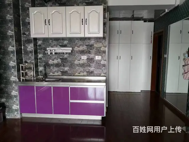 王府井公寓 公寓1厅 精装修 - 图片 6
