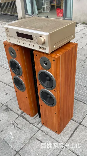 丹麦原装进口尊宝发烧音箱+马来西亚原装进口安桥功放 - 图片 6