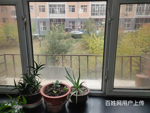 拎包入住哪不行在收拾收拾 - 图片 5