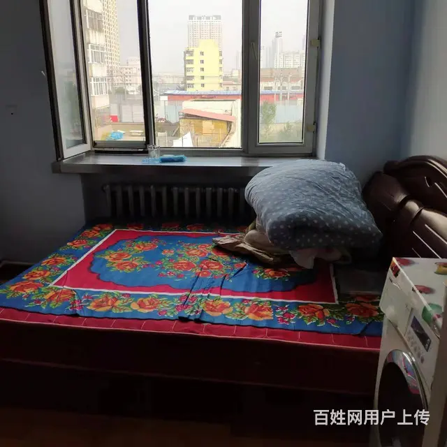 田地街(道里-兆麟) 普通住宅0厅 精装修 - 图片 2