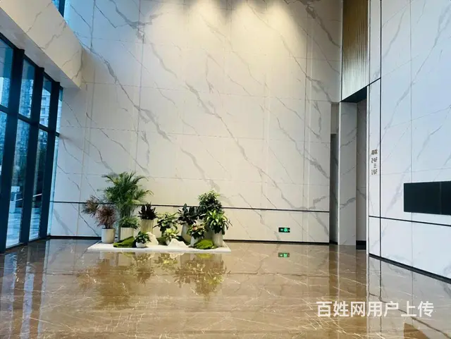 滨江银泰，海威天地，出租110至1200方，大小面积都有！ - 图片 10