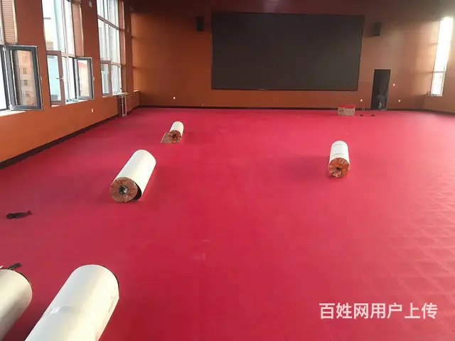 活动室运动 - 图片 3