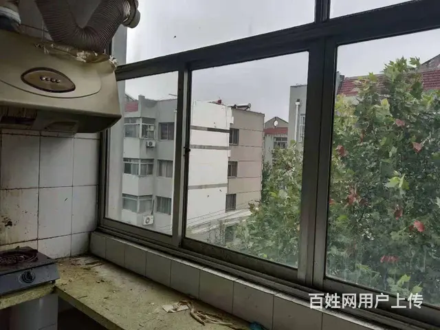 吉房出租 滨化小区 - 图片 3