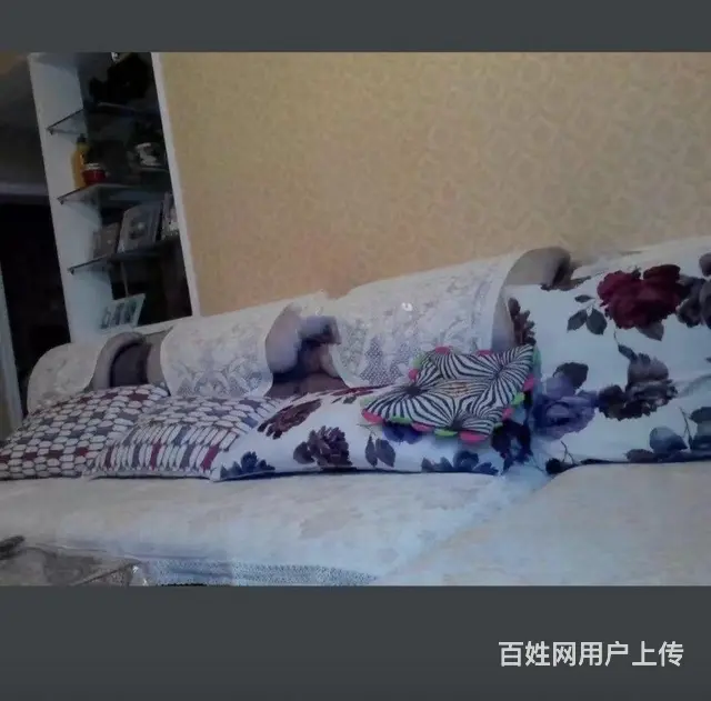 花园学校紧邻清水湾大公馆三室家具家电齐全拎包入住 精装修 - 图片 7