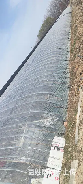 温室大棚出租出兑 - 图片 2
