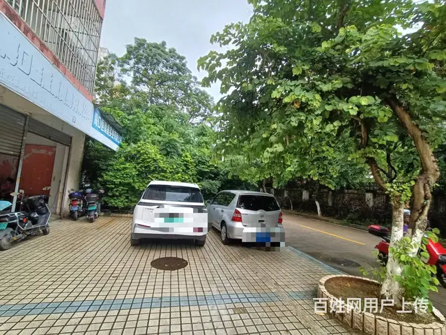 （51旺铺推荐）金盘金花路82平临街旺铺招租 - 图片 10