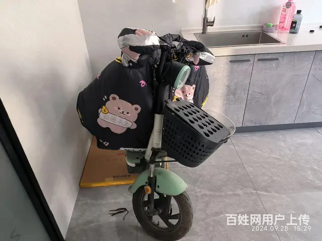 【搞定了！】小鸟电动车 - 图片 1