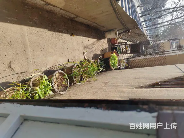 宏源小区，二楼，已装修，有双气，拎包入住，有双气，证件齐全 - 图片 6