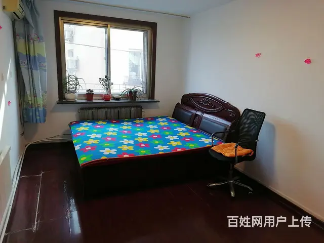 房屋出售 - 图片 1