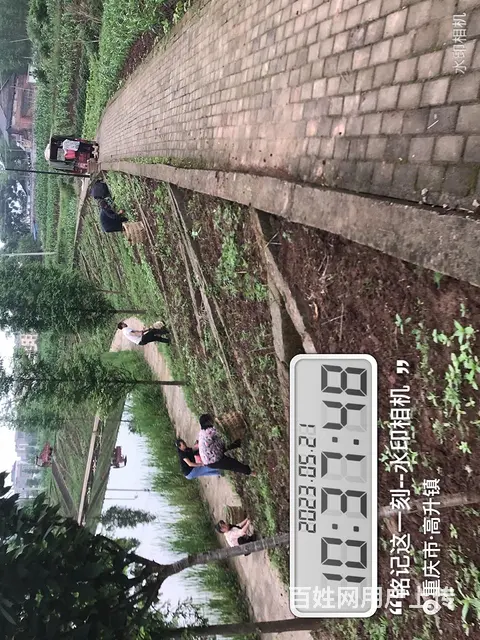 珠海市狗狗学校～狗狗心理行为纠正、训犬场所 - 图片 1