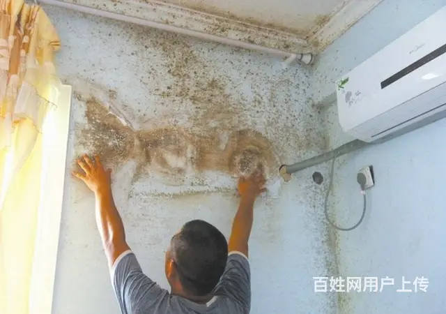 麻章墙面防水补漏,房屋补漏维修-不敲瓷砖 - 图片