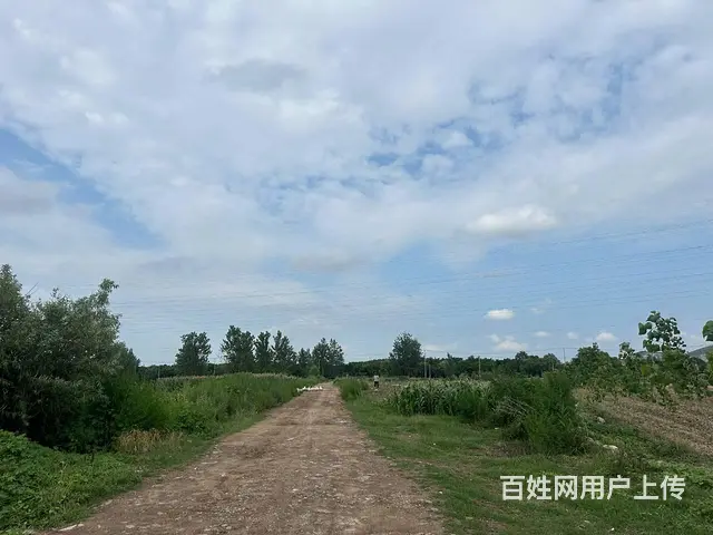 （城市在线 找房免费）汉王路窝地铁终点站附近土地出租 - 图片 7