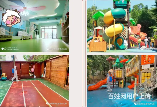 【洛阳幼儿园哪家好】培养一个心理阳光的孩子 - 图片 1