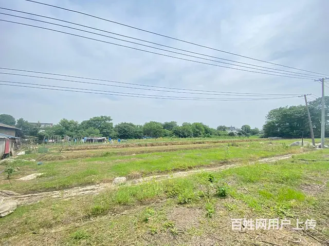 开福大道10亩坪，可做农家乐，花园，露营，种植养殖基地 - 图片 1