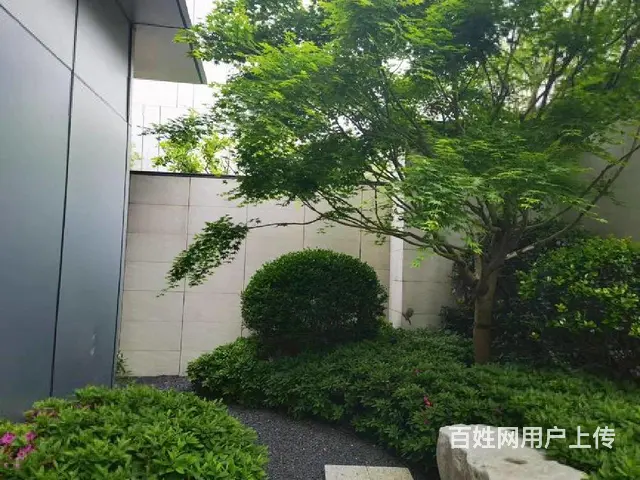 银湖科技城富春硅谷独栋商办，产证1800方送1千1百方院精装 - 图片 11