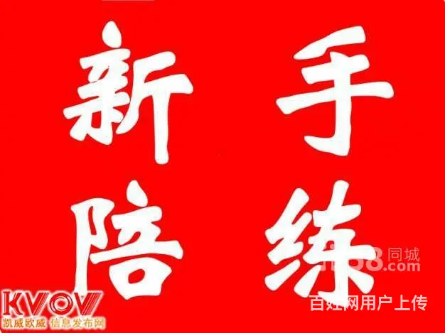 计时汽车陪练《陪练有驾照新手》 - 图片 1